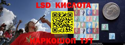 ГАЛЛЮЦИНОГЕННЫЕ ГРИБЫ Кандалакша